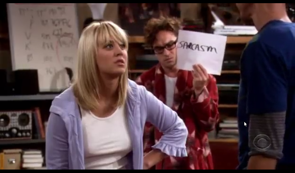 Big-Bang-Theory-Leonards-sarcasm-sign.pn