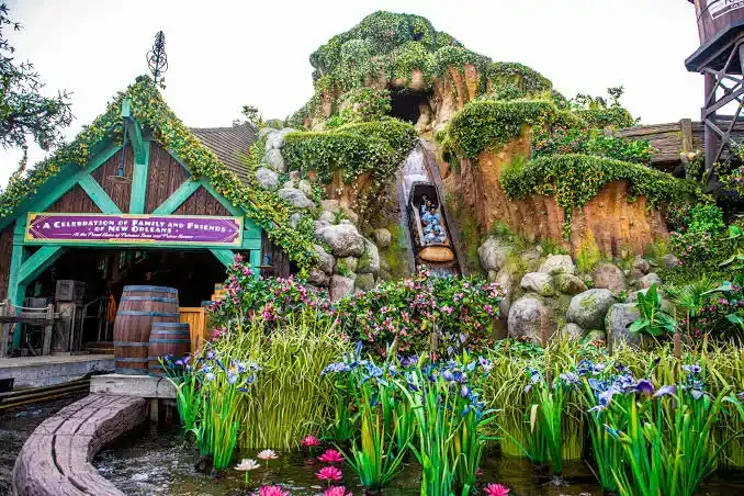 Disneyland Has the Superior Version of Tiana's Bayou ...