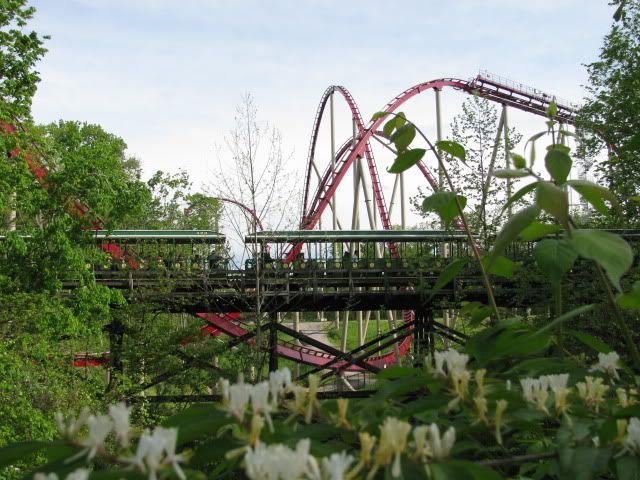 KingsIsland827.jpg