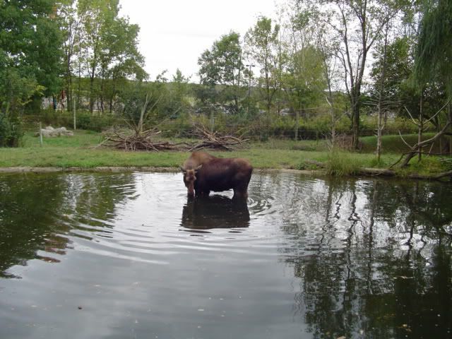 ColumbusZootrip10-13-07311.jpg