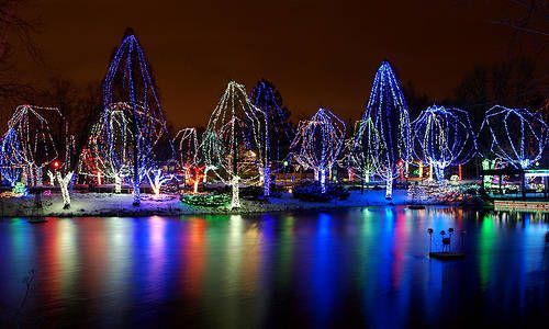 columbus-wildlights.jpg