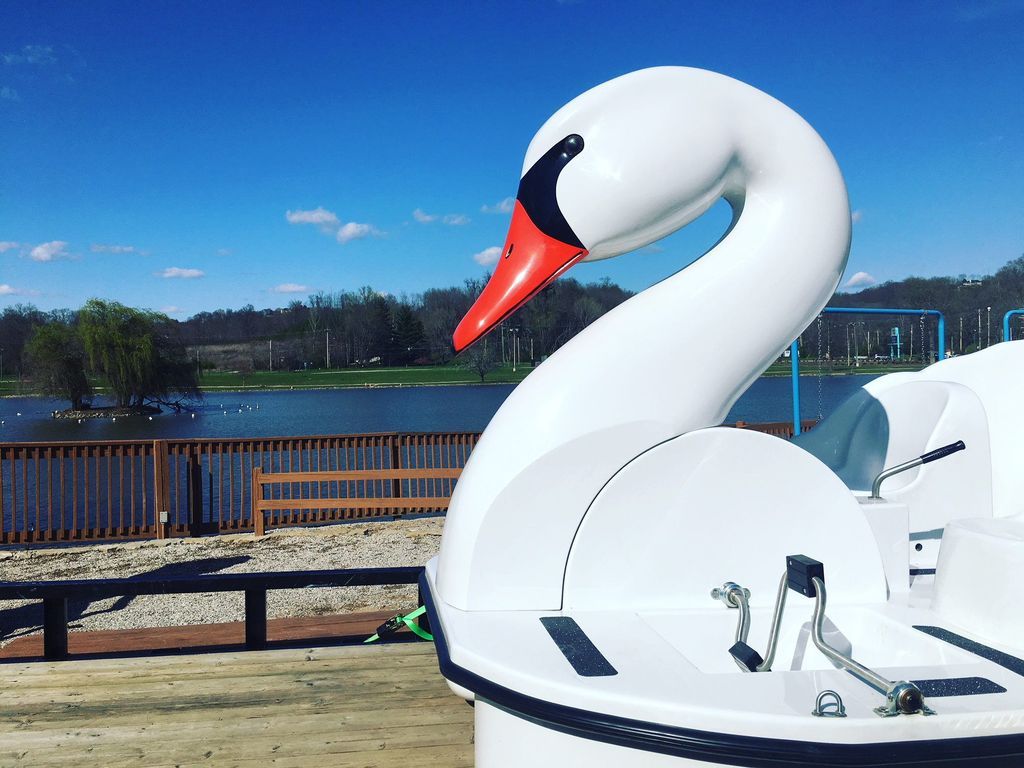 31195740_10160224879610526_8977943122931