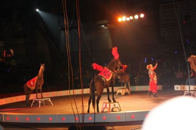 circus26.jpg