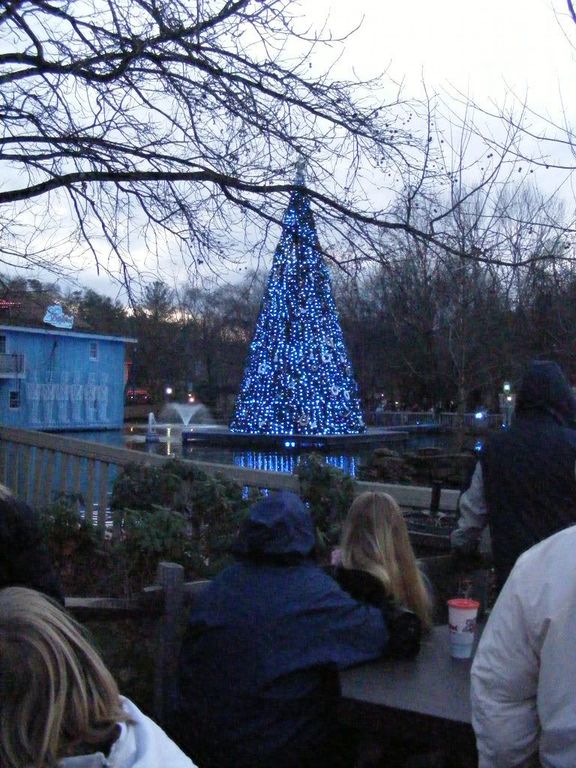 dollywoodchristmas2010035.jpg