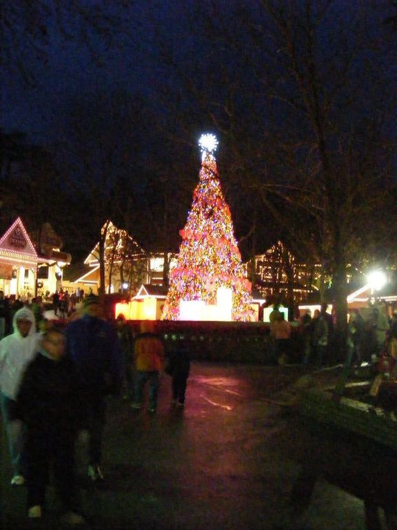 dollywoodchristmas2010042.jpg