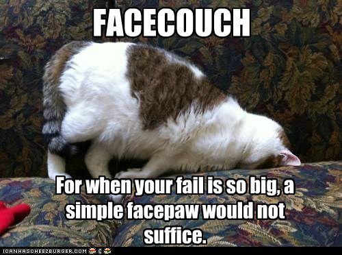 00602_funny-pictures-lolcats-facecouch.jpg