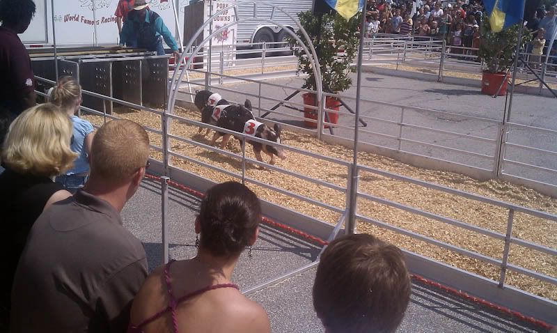 OhioStateFair2010-9.jpg