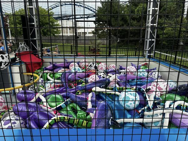 447748592_10233057647361765_862527137608